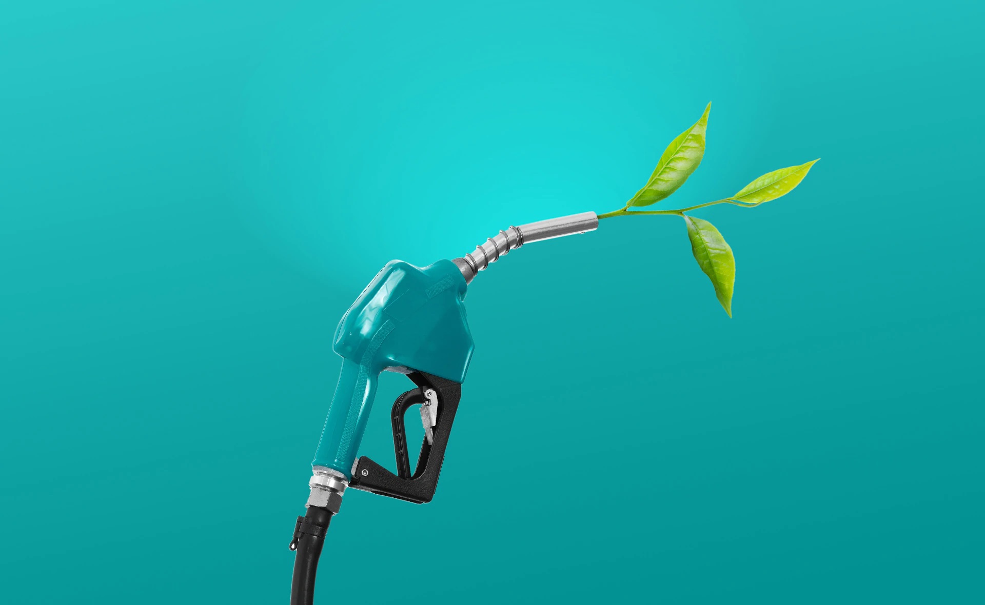 Los biocombustibles, una opción sostenible para el transporte