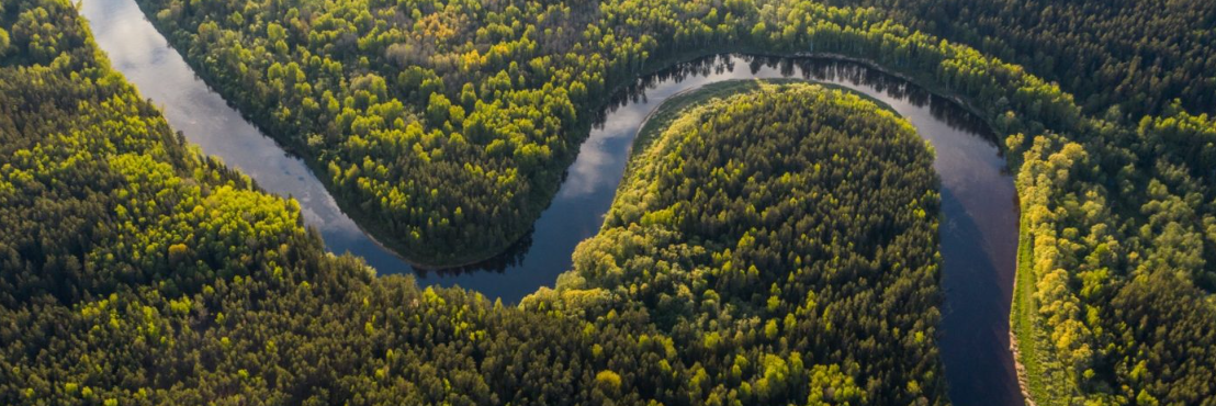 ¿Dónde están los verdaderos pulmones de la Tierra?